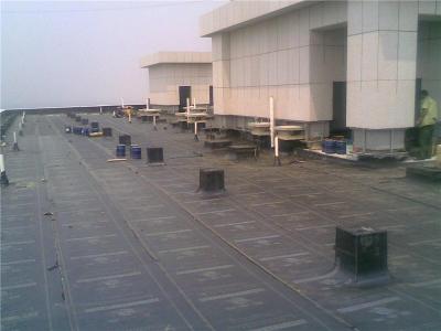 上海应用技术大学学生公寓屋面翻新